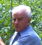 Bartolomeo Verrelli